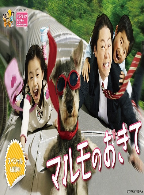 [DVD]  マルモのおきて