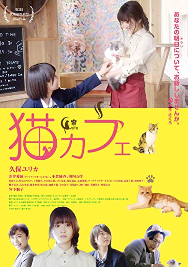 [DVD] 猫カフェ - ウインドウを閉じる