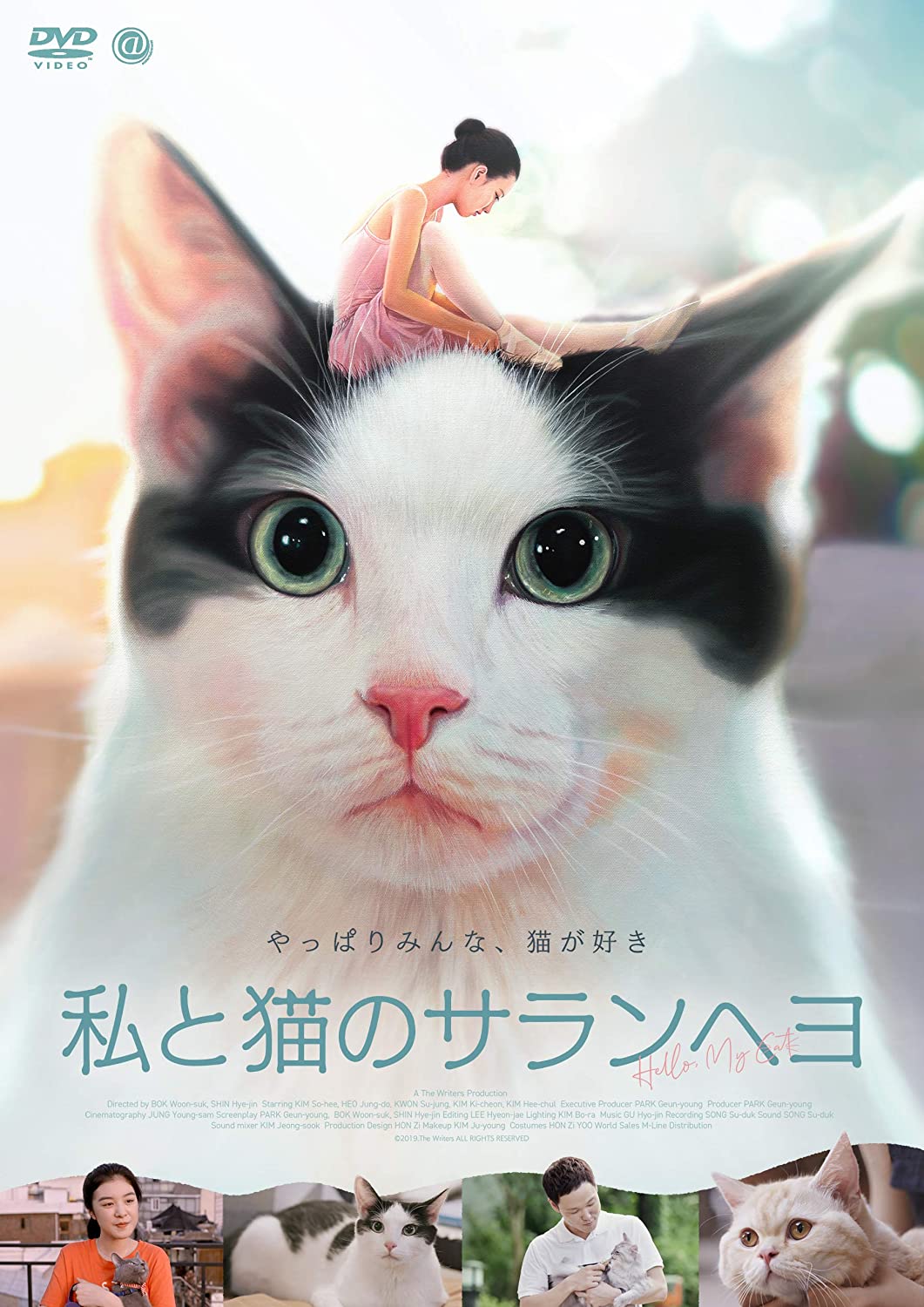 [DVD] 私と猫のサランヘヨ - ウインドウを閉じる