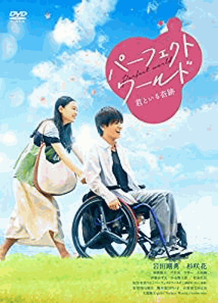 [DVD] パーフェクトワールド 君といる奇跡