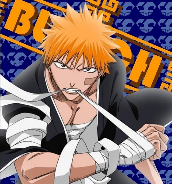 [DVD] BLEACH / ブリーチ 13-15