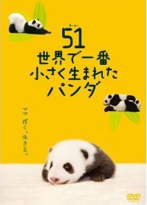 [DVD] 51 (ウーイー) 世界で一番小さく生まれたパンダ - ウインドウを閉じる
