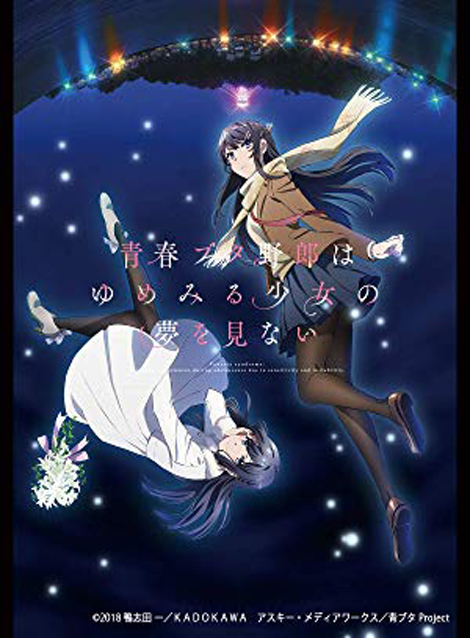 [DVD] 青春ブタ野郎はゆめみる少女の夢を見ない - ウインドウを閉じる