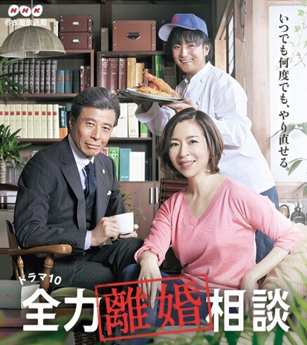 [DVD] 全力離婚相談