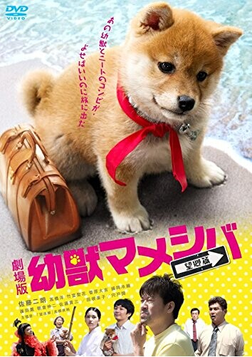 [DVD] 映画版 幼獣マメシバ 望郷篇