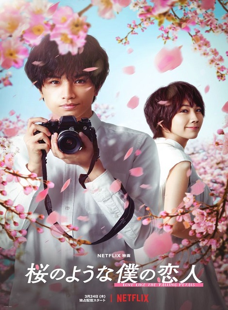[DVD] 桜のような僕の恋人 - ウインドウを閉じる