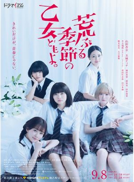 [DVD] 荒ぶる季節の乙女どもよ。 第1話- 第10話