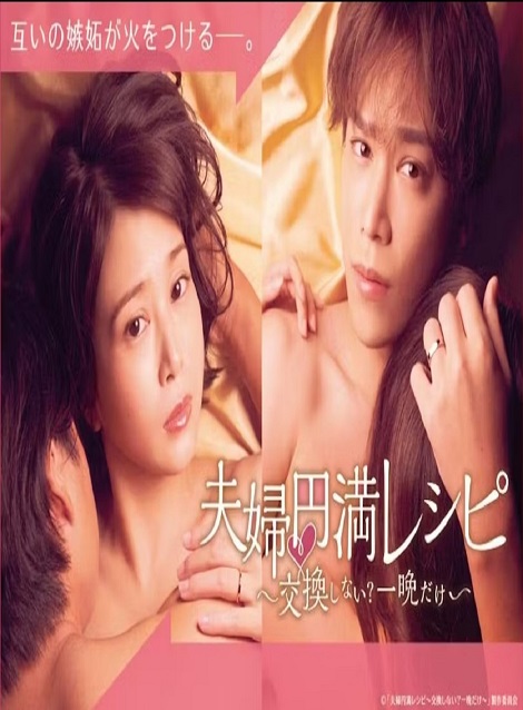 [DVD] 夫婦円満レシピ～交換しない？一晩だけ～