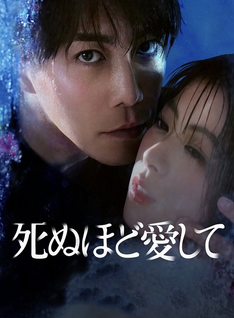 [DVD] 死ぬほど愛して