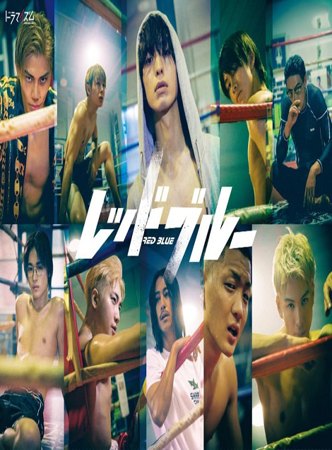 [DVD] レッドブルー