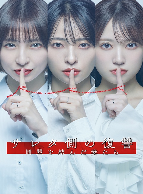 [DVD]  サレタ側の復讐〜同盟を結んだ妻たち〜