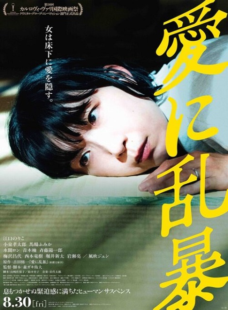 [DVD] 愛に乱暴