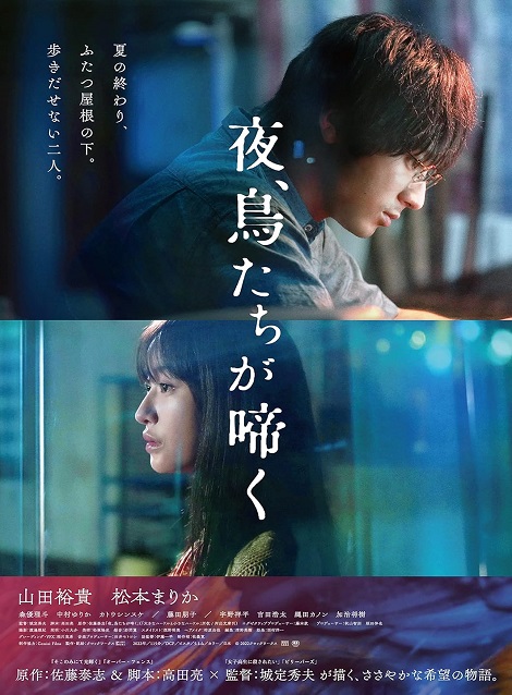 [DVD] 夜、鳥たちが啼く