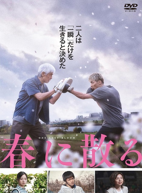 [DVD]  春に散る