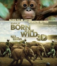 IMAX: Born To Be Wild - ウインドウを閉じる