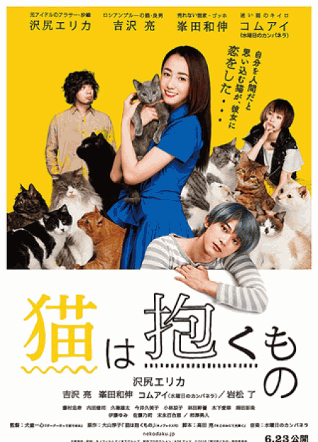 [DVD] 猫は抱くもの